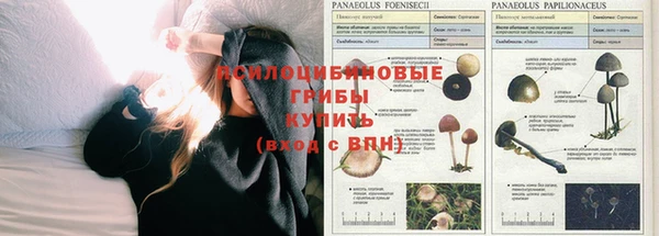 не бодяженный Абаза