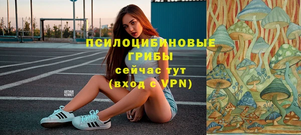 МДПВ Приозерск
