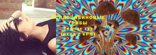 шишки Протвино